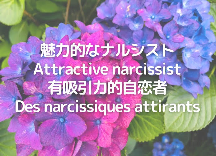 魅力的なナルシスト/Attractive narcissist/有吸引力的自恋者/Des narcissiques attirants