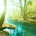 使命に気づいた人から人生が動き出す──3つのサインと行動エネルギーの心理学