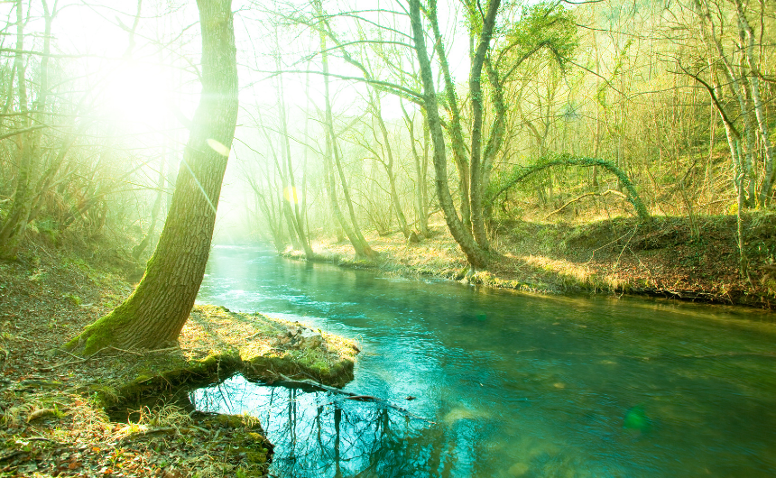 使命に気づいた人から人生が動き出す──3つのサインと行動エネルギーの心理学