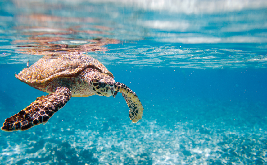 アート×ヒーリングでメンタル回復速度が2倍に──感情と脳の最新知見