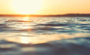 健康・幸福・成功を同時に引き寄せる人のライフスタイル5選──エネルギーが整う環境と人間関係の心理学