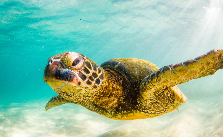 体温が0.5℃上がると運と幸福はどう変わる?基礎代謝と感性の科学的相関