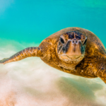 自己需要が満たされると人は変わる──心理学が示す3つの転換点と内面成長