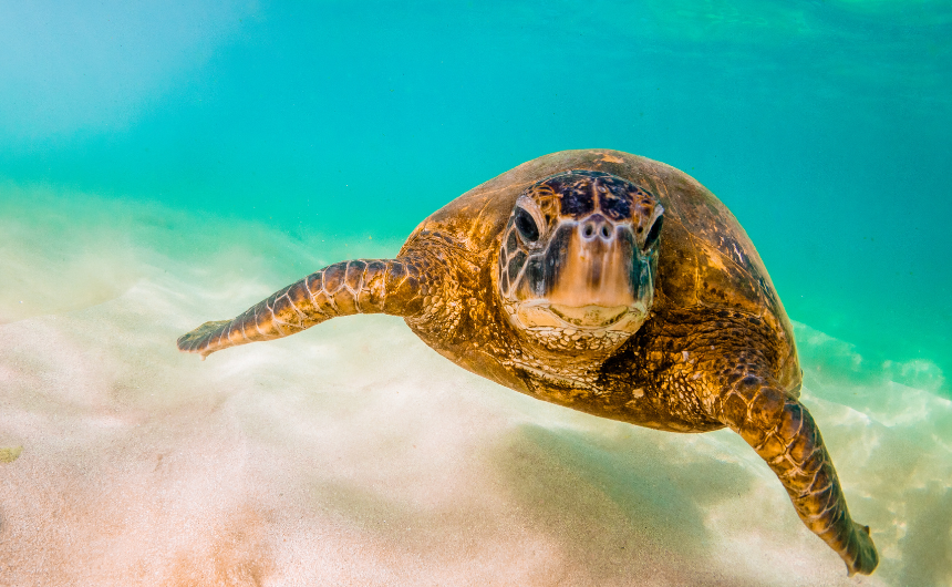 自己需要が満たされると人は変わる──心理学が示す3つの転換点と内面成長