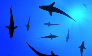 レムリアとアトランティスに学ぶ豊かさの本質──意識進化と循環する愛の経済