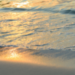 日本的精神性と瞑想アートが導く、整った生き方──五感と内面から人生を変えるヒント