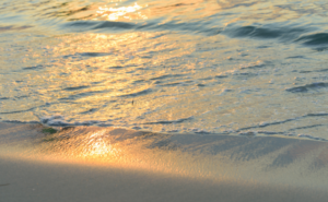 日本的精神性と瞑想アートが導く、整った生き方──五感と内面から人生を変えるヒント