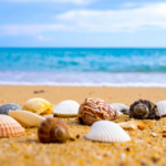 瞑想アートが人生を動かす3つの理由──深層意識と身体から始まる本当の現実化