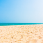 感情を整えると売上は安定する──瞑想アートで始める波動マネジメント経営