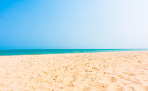 感情を整えると売上は安定する──瞑想アートで始める波動マネジメント経営