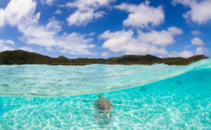 アートと瞑想で拓く新しい豊かさ──地に足のついた精神性で現実を動かす方法