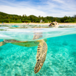 アートと瞑想で愛と豊かさを循環させる──潜在意識を書き換える至福の法則