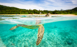 アートと瞑想で愛と豊かさを循環させる──潜在意識を書き換える至福の法則