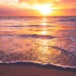 魂を震わせる「アート」と「ウェルビーイング」の真髄──人生を絶対肯定する美の哲学