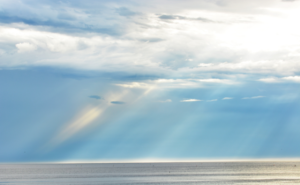 アートとウェルビーイングの本質──東洋思想と最新研究が示す心を満たす豊かさ