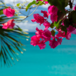 海が心を解き放つ──沖縄の自然とアートが育むウェルビーイング