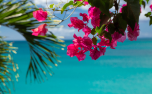 海が心を解き放つ──沖縄の自然とアートが育むウェルビーイング