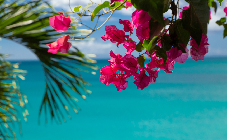 海が心を解き放つ──沖縄の自然とアートが育むウェルビーイング