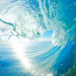 生命エネルギーを昇華させ、「アート」と「ウェルビーイング」を体現する豊かな人生への招待