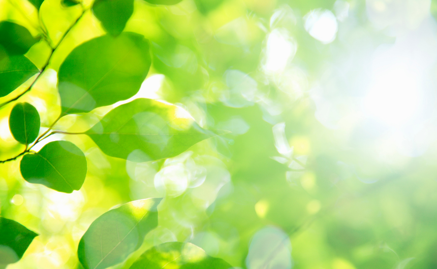 「フロイト心理学」で解き明かす無意識を解放し人生の喜びを最大化する実践法