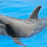 生命の歓びを呼び覚ますアートとウェルビーイングの豊かな関係性