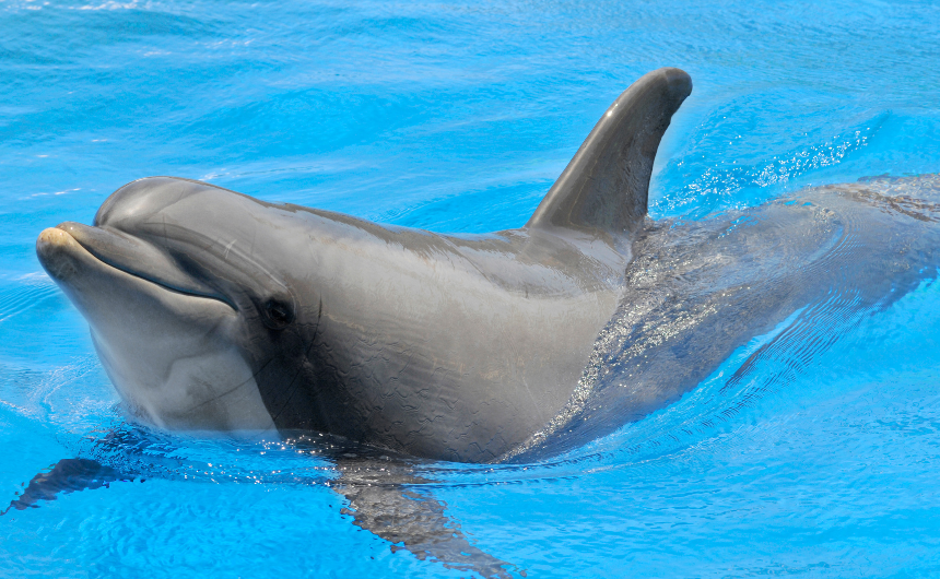 生命の歓びを呼び覚ますアートとウェルビーイングの豊かな関係性