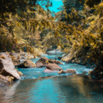 月読命（ツクヨミ）の叡智が導くアートとウェルビーイング｜生命の歓喜をひらく美の法則