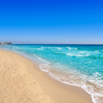 心が戻る場所をつくる｜日常に寄り添うアートとウェルビーイング