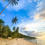 なぜ人は美を求めるのか｜生きる意味と人生に彩りをもたらすもの