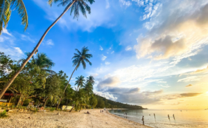 なぜ人は美を求めるのか|生きる意味と人生に彩りをもたらすもの