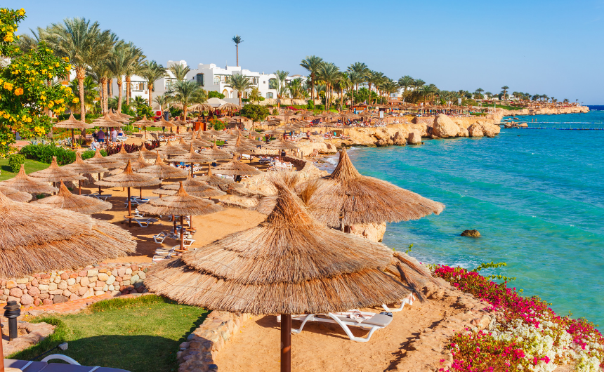 アートとウェルビーイングが導く豊かな日々｜人生を整えるアート習慣