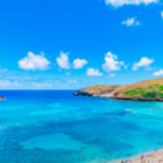 魂の喜びを呼び覚ますウェルビーイングな日々｜アートはなぜ人間に必要なのか