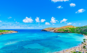 魂の喜びを呼び覚ますウェルビーイングな日々｜アートはなぜ人間に必要なのか