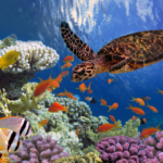 アートが脳に与える影響とウェルビーイング｜美の科学が導く豊かな人生