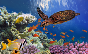 アートが脳に与える影響とウェルビーイング｜美の科学が導く豊かな人生