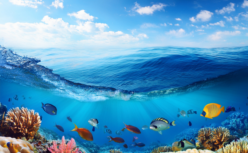 アートが導くウェルビーイングの真髄｜感性を解き放ち人生を豊かにする究極の習慣