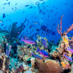 アートとウェルビーイングの定義とは｜心が満ちる豊かな人生の歩み方