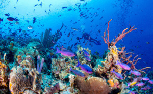 アートとウェルビーイングの定義とは|心が満ちる豊かな人生の歩み方