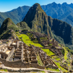 生命の輝きを取り戻すアートと医療｜ウェルビーイングを育む豊かな人生の法則