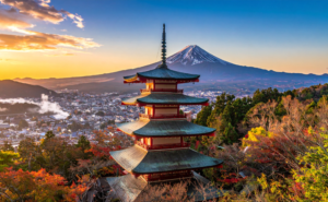 空海の密教表現が解き明かす生命の歓喜──視覚的な美と心の豊かさの交差点