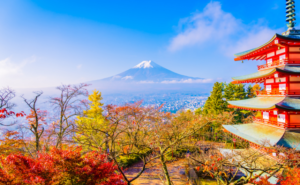 戦国を駆け抜けた織田信長氏の感性に学ぶ、アートとウェルビーイングの豊かな関係性