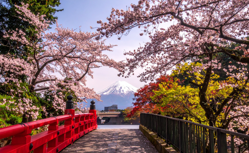 アートが社会を健康にする理由｜ウェルビーイングが叶える、心から満ちる人生の在り方