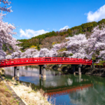 アートセラピーを試した結果｜ウェルビーイングを高め豊かな人生を彩る実践法