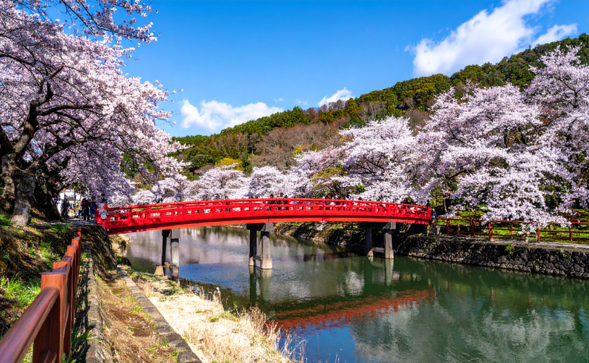 アートセラピーを試した結果｜ウェルビーイングを高め豊かな人生を彩る実践法