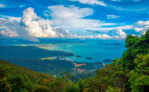 人的資本とウェルビーイング｜アートが育む豊かな内面と企業の未来