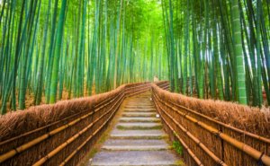 上杉鷹山氏の歩みに学ぶ心の整え方｜日々の暮らしを美しく彩るアートとウェルビーイング