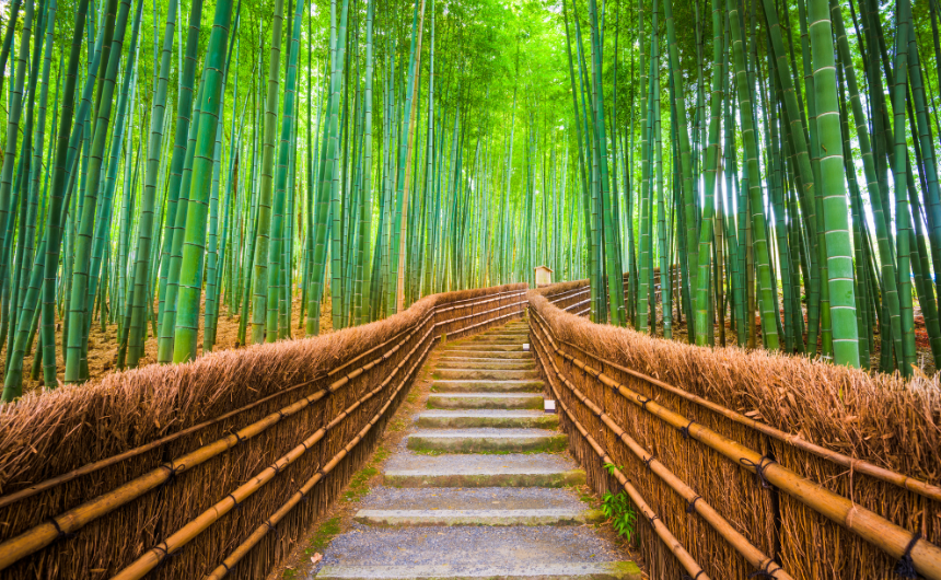上杉鷹山氏の歩みに学ぶ心の整え方｜日々の暮らしを美しく彩るアートとウェルビーイング
