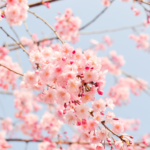 30日アート習慣チャレンジ part 2｜ウェルビーイングを高め豊かな人生を歩む実践法