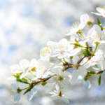 人生を豊かに彩る至高の習慣｜アートとウェルビーイングが拓く喜びに満ちた未来