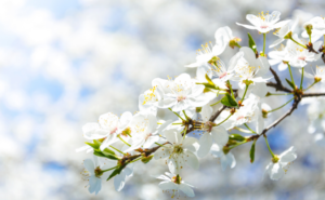 人生を豊かに彩る至高の習慣｜アートとウェルビーイングが拓く喜びに満ちた未来